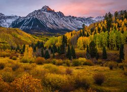 Stany Zjednoczone, Kolorado, Góra, Mount Sneffels, Jesień, Drzewa, Roślinność