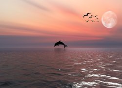 Morze, Delfin, Ptaki, Księżyc, 2D