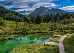 Rezerwat przyrody Zelenci w Słowenii