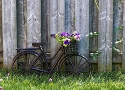Rower, Kosz, Kwiaty, Płot