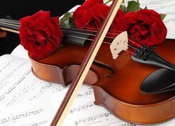 Róże położone na skrzypcach