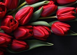 Tulipany, Czerwone, Czarne, Tło