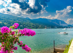 Włochy, Lago Maggiore, Jezioro, Góra, Niebo, Chmury, Kwiaty