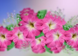 Kwiaty, Surfinia, Grafika 2D
