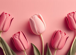 Kwiaty, Różowe, Tulipany, Liście, Różowe, Tło, 2D