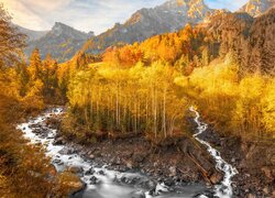Jesień, Góry, Żółte, Drzewa, Kamienie, Rzeka, Grindelwald, Szwajcaria