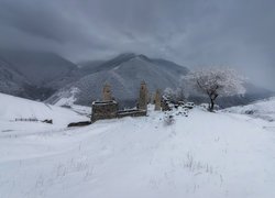 Zima, Góry, Kaukaz, Ruiny, Wieże obronne, Drzewo, Drzewa, Erzi, Republika Inguszetii, Rosja