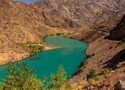 Rzeka Naryn, Góry, Drzewo, Obwód Dżalalabad, Kirgistan