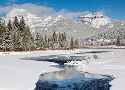 Stany Zjednoczone, Stan Wyoming, Narodowy Park Yellowstone, Rzeka Soda Butte Creek, Zima, Góry, Drzewa