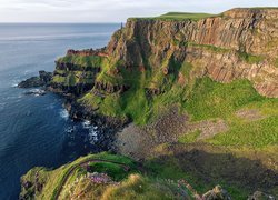 Skały The Giants Causeway Cliffs w Irlandii Północnej