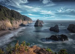 Skały, Klif, Morze, Drzewa, Park stanowy, Samuel H Boardman State Scenic Corridor, Oregon, Stany Zjednoczone