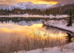 Zima, Góry, Staw, Gold Creek Pond, Drzewa, Trawa, Stan Waszyngton, Stany Zjednoczone