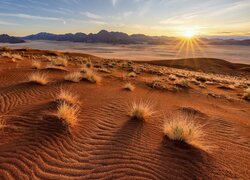 Afryka, Namibia, Pustynia Namib, Wydmy, Trawy, Promienie słońca