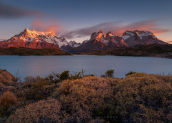 Chile, Patagonia, Góry, Torres del Paine, Jezioro, Jesień, Roślinność, Park Narodowy Torres del Paine