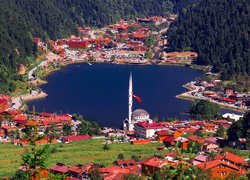 Turcja, Prowincja Trabzon, Caykara, Jezioro, Domy, Meczet, Drzewa, Lasy