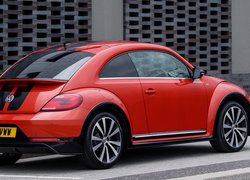 Volkswagen Beetle tyłem