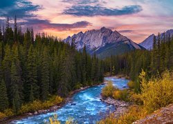Kanada, Alberta, Park, Narodowy Jasper, Góry, Colin Range, Evelyn Creek, Rzeka, Drzewa, Las