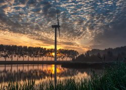 Rzeka Haringvliet, Wschód słońca, Chmury, Wiatrak, Drzewa, Middelharnis, Holandia