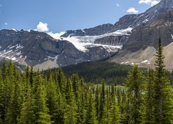 Widok na lodowiec Crowfoot Glacier w Kanadzie