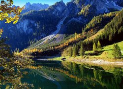 Las, Góry, Drzewa, Jezioro Gosau, Austria