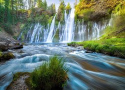 Wodospad, Burney Falls, Drzewa, Rzeka, Park McArthur Burney Falls, Hrabstwo Shasta, Stan Kalifornia, Stany Zjednoczone