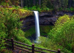Wodospad, South Falls, Skały, Drzewa, Ogrodzenie, Park stanowy Silver Falls, Stan Oregon, Stany Zjednoczone