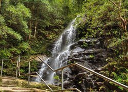 Wodospad Sylvia Falls, Park Narodowy Blue Mountains, Stan Nowa Południowa Walia, Australia, Skały, Las, Drzewa, Paprocie, Ogrodzenie