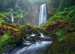 Wodospad w lesie Gifford Pinchot w Oregon