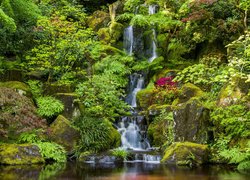 Ogród japoński, Drzewa, Krzewy, Roślinność, Wodospad, Skały, Portland Japanese Garden, Portland, Stan Oregon, Stany Zjednoczone