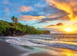 Hawaje, Wyspa Maui, Morze, Palmy, Roślinność, Wschód słońca, Chmury