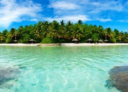 Malediwy, Morze, Wyspa, Palmy, Plaża