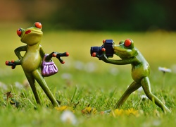 Żaba w śmiesznej pozie przed żabim fotografem
