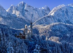 Niemcy, Bawaria, Zima, Drzewa, Ośnieżone, Góry, Zamek Neuschwanstein