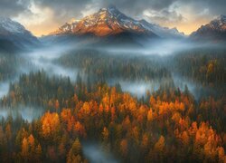 Góry, Lasy, Drzewa, Mgła, Jesień, Chmury, Wschód słońca