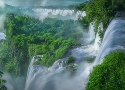 Zielone drzewa i mgła przy wodospadzie Iguazu w Argentynie