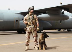 Żołnierz, Mężczyzna, Pies, Samolot