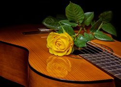 Żółta róża na gitarze