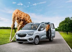 Opel Combo, 2018, Żyrafa, Śmieszne