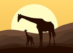 Żyrafy, Grafika 2D, Pustynia, Słońce