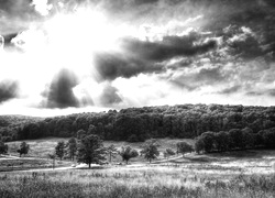 Szary + Sepia