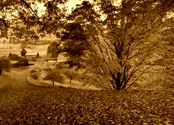 Sepia