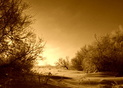 Sepia