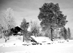 Szary + Sepia