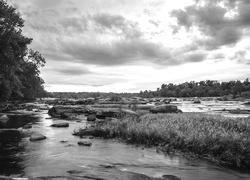 Szary + Sepia