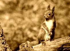 Sepia