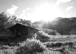 Szary + Sepia