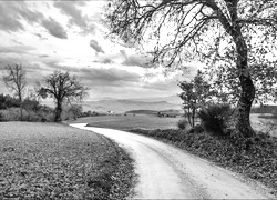 Szary + Sepia