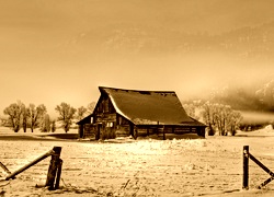 Sepia