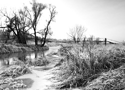 Szary + Sepia