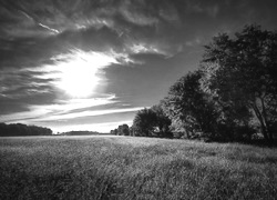 Szary + Sepia